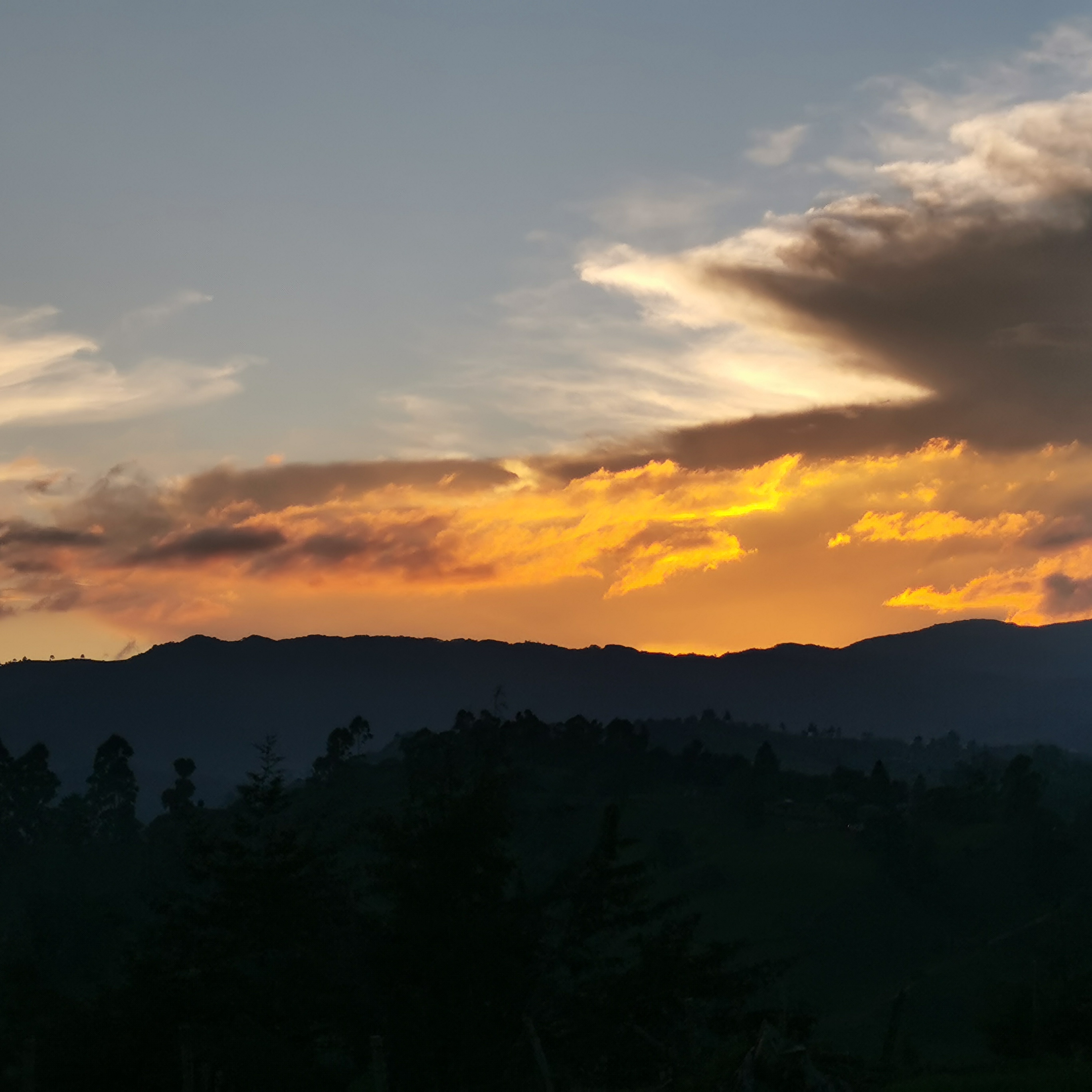 IMG_20190818_195243_797